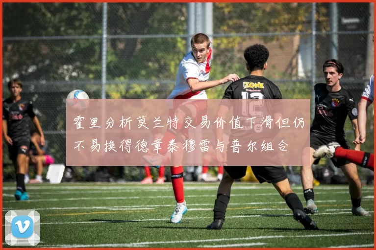 霍里分析莫兰特交易价值下滑但仍不易换得德章泰穆雷与普尔组合
